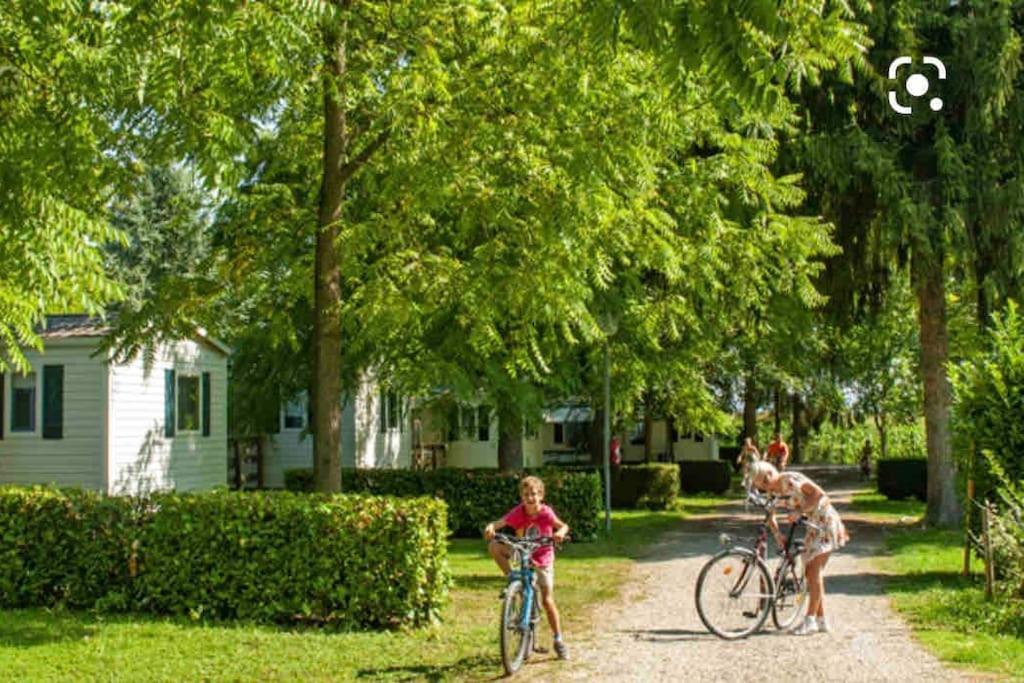 Location Mh Situee A 15 Mn D Europa Park Et Rulantika Apartment Boofzheim Exterior photo